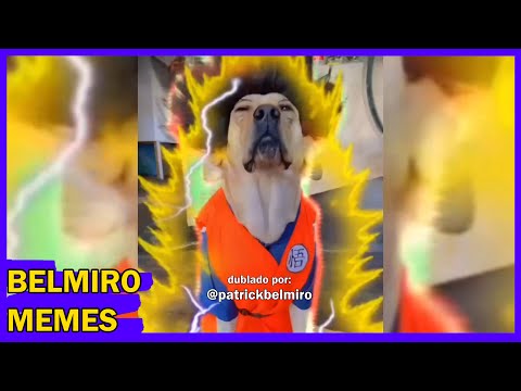 Belmiro Memes: Melhores dublagens engraçadas da semana 52