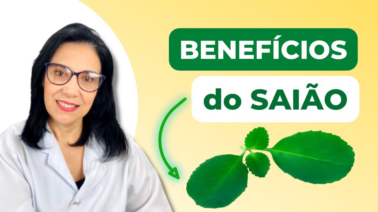 BENEFICIOS INCRÍVEIS DA FOLHA DA FORTUNA OU  SAIÃO UM ANTI INFLAMATÓRIO NATURAL !