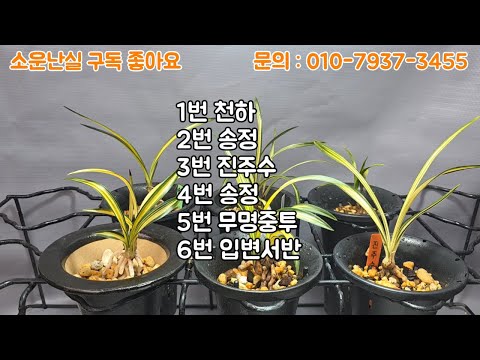 유튜브 썸네일