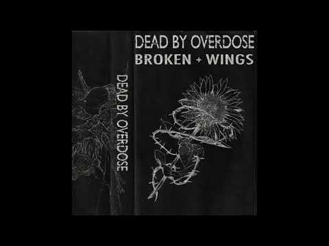 Bad Faith Actor - Failure To Comply Will Get You Killed (Broken + Wings)