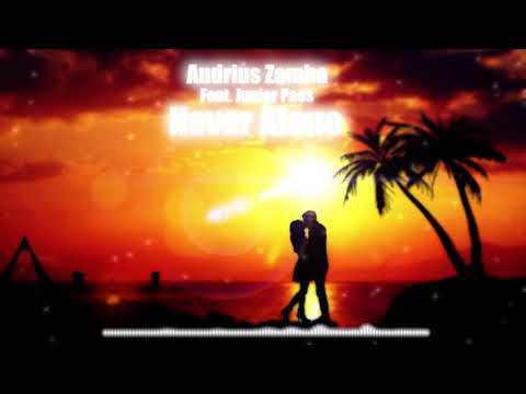 Andrius Zamba Feat. Junior Paes - Never Alone