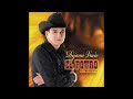 El Potro De Sinaloa - El Mes De Enero (Cover Audio)