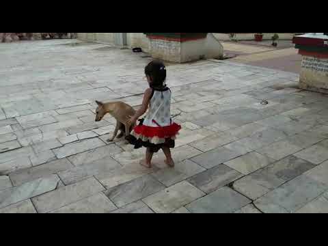 Play with dog yukti babu