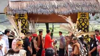 Pentas Seni dan Budaya Dayak Kalimantan Barat Dango Khatulistiwa 2015