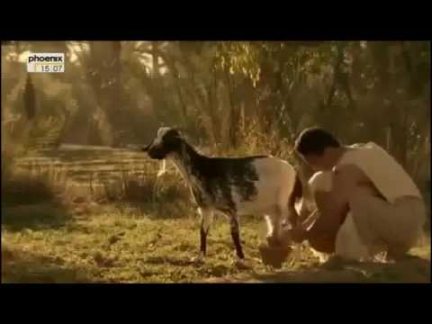 König Gilgamesch Das Phantom von Uruk Fahndung