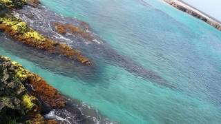 *OLIVIA BYINGTON - *AS PRAIAS DESERTAS.* (TOM JOBIM )*