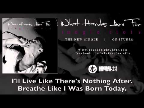 What Hands Are For - Jungle Riots (Lyric Video)