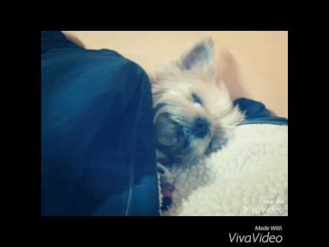 Matýsek a Micinka 😍😘😍😘