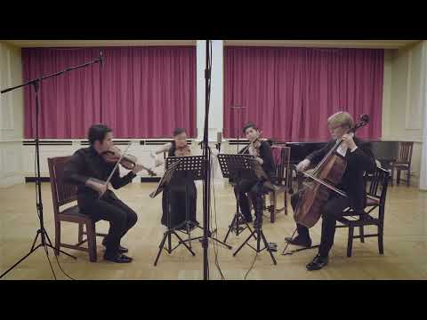 J.Haydn String Quartet Op.33 No.5 "How do you do" 1st mvt