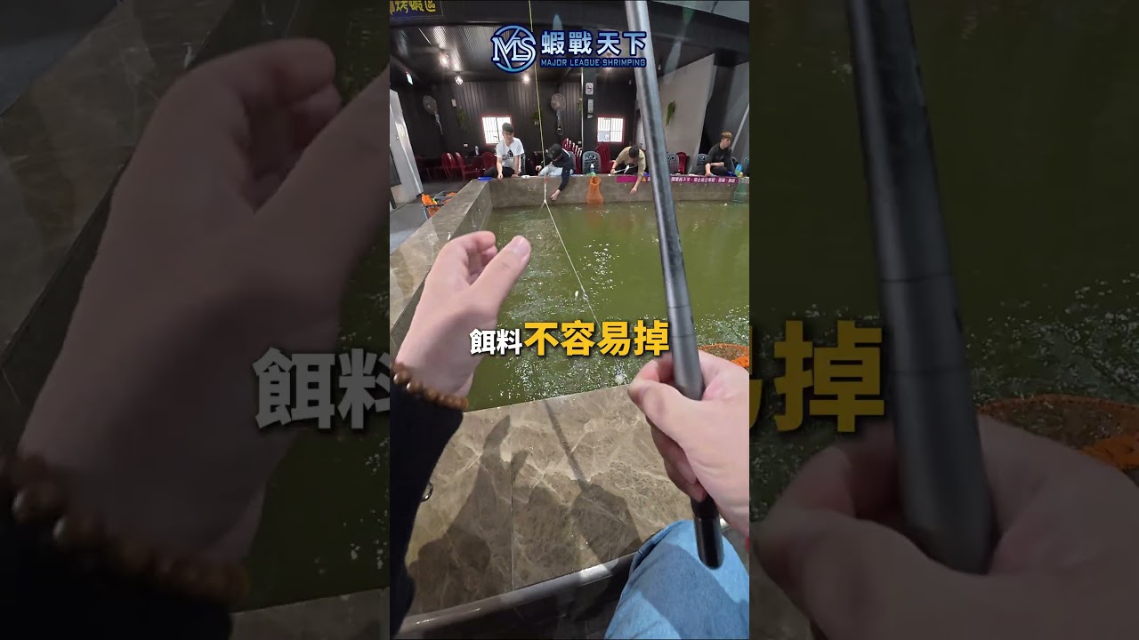 🔥鉤餌小技巧，最強測試員不藏私分享🔥【MLS蝦戰天下】#17shrimp #台湾のエビ釣り #shrimpfishing #새우낚시
