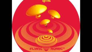 FLYING AGARIC 06 - NATAS - Stuck in the darkness