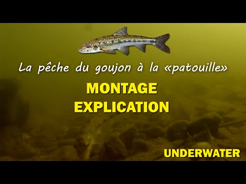 Pêche facile pour l'été, friture et goujon à la patouille ! UNDERWATER - GOPRO HD1080p