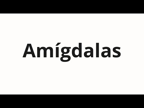 How to pronounce Amígdalas