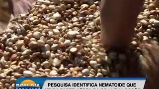 Miniatura do vídeo
