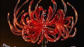 🎵 ClariS「ヒトコト」が1位！新宿アニソンランキングに“20年前の名盤”も再浮上✨