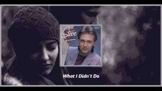 Steve Wariner - What I Didn&#39;t Do