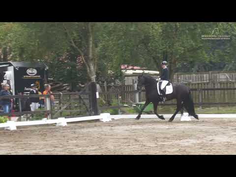 Fokdag | DFZ Papenburg 1 | 10 augustus 2024