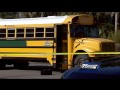 Search For Driver In Deadly Hit And Run Crash