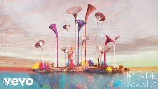 Moon Taxi - Not Too Late (Acoustic (Audio))