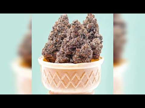 chudlyn - GELATO