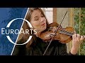 Bach: Brandenburg Concerto No. 3 in G major, BWV 1048 (Freiburger Barockorchester)