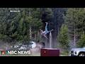 Bull Bison Charges Yellowstone Tourist Flipping Him Into The Air