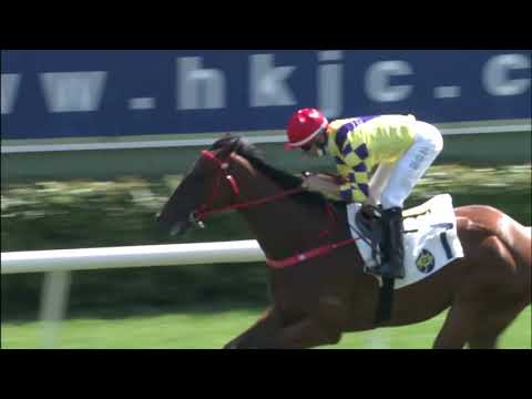 31/1/2021 (383) Fantastic Way - J Moreira  (Debut win)