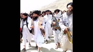 Taliban Attitude Status | Power Of Afghan Taliban | Afghan Taliban Attitude Status | Taliban Power 💪