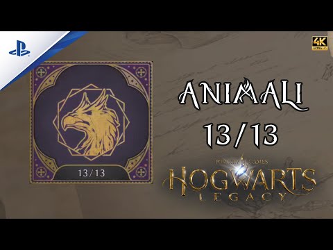 Tutti gli ANIMALI 13/13. Hogwarts Legacy PS5 ITA