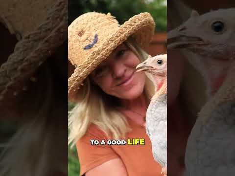 The Ultimate Guide to Homesteading: Benefits of Keeping Chickens and Dairy Goats