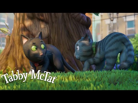 Meet Sock, Tabby McTat's Girlfriend! 💕 @GruffaloWorld: Compilation