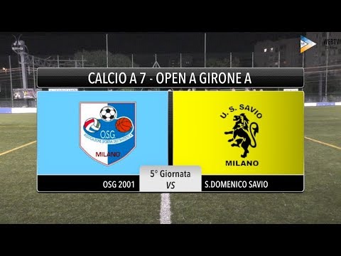 Sintesi Osg 2001 - S.Domenico Savio