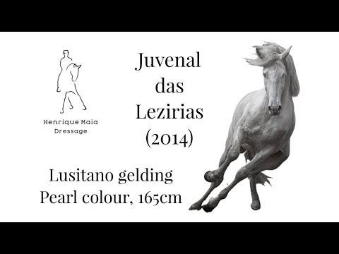 Juvenal das Lezirias MGM (2019)