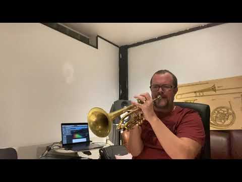 Rise Herb Alpert ( Trumpet Cover by Tony Averstedt