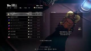 #14バイオハザードRE4 エイダ編