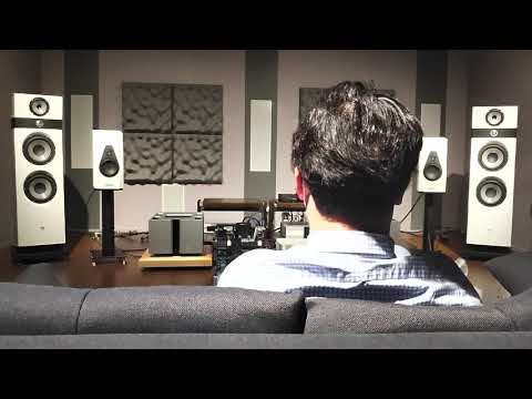 08 Vimberg Amea & Mastersound Evo 300B