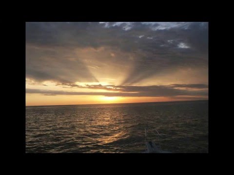 Peace and Harmony - Billy Joe Walker