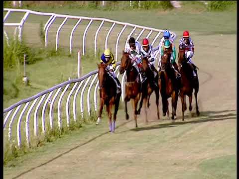 Galoppo 06/07/2018 - 3ª corsa