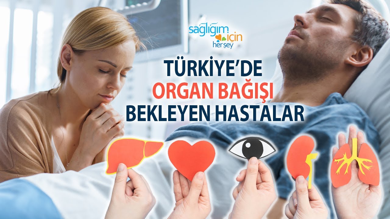 Organ Bağışı Konusunda Doğru Zannedilen Yanlışlar