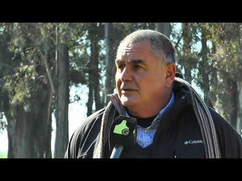 Cabaña El Señuelo previa Palermo 2019 - Carlos Faggiani