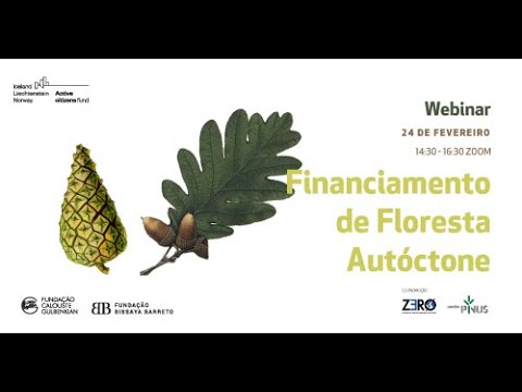 Gravação Webinar Internacional FERTIPINE - Fertilização de Pinheiro-bravo