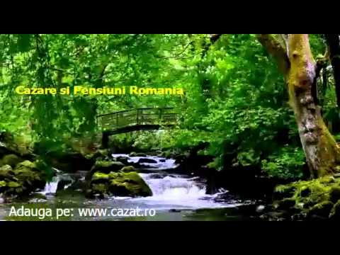 Cazare Solonet, Suceava - Cazat.ro