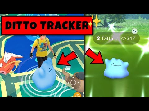 New Trick To Catch Shiny Ditto in Pokemon Go | Pokemon Go New Trick