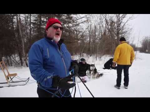 Snow Motion Skijoring