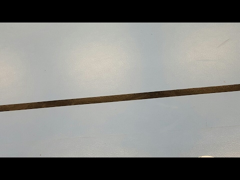 Fc Wild vs Ppj futsal