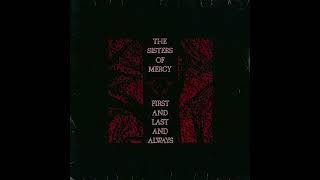 The Sisters Of Mercy - Amphetamine Logic (HQ) (LYRICS)