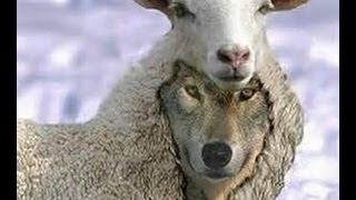 Jack Van Impe exposes Rick Warren false teaching purpose driven life Emerging church last days news