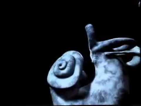 The Human Body Trailer