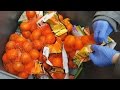 Food Waste How Much Food Do Supermarkets Throw Away CBC Marketplace