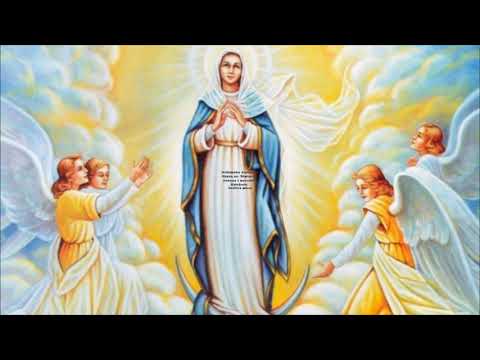 Svetkovina Uznesenja Blažene Djevice Marije na nebo, 2020.